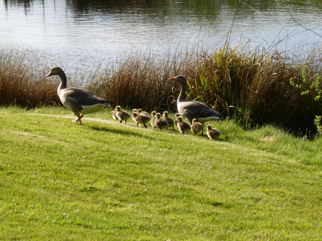 London Beach Country Hotel & Golf Club Тентърдън Екстериор снимка